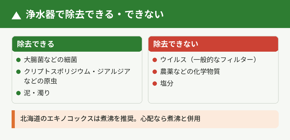 除去できるもの・できないもの