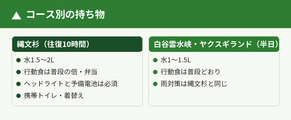 縄文杉と半日コースの違い